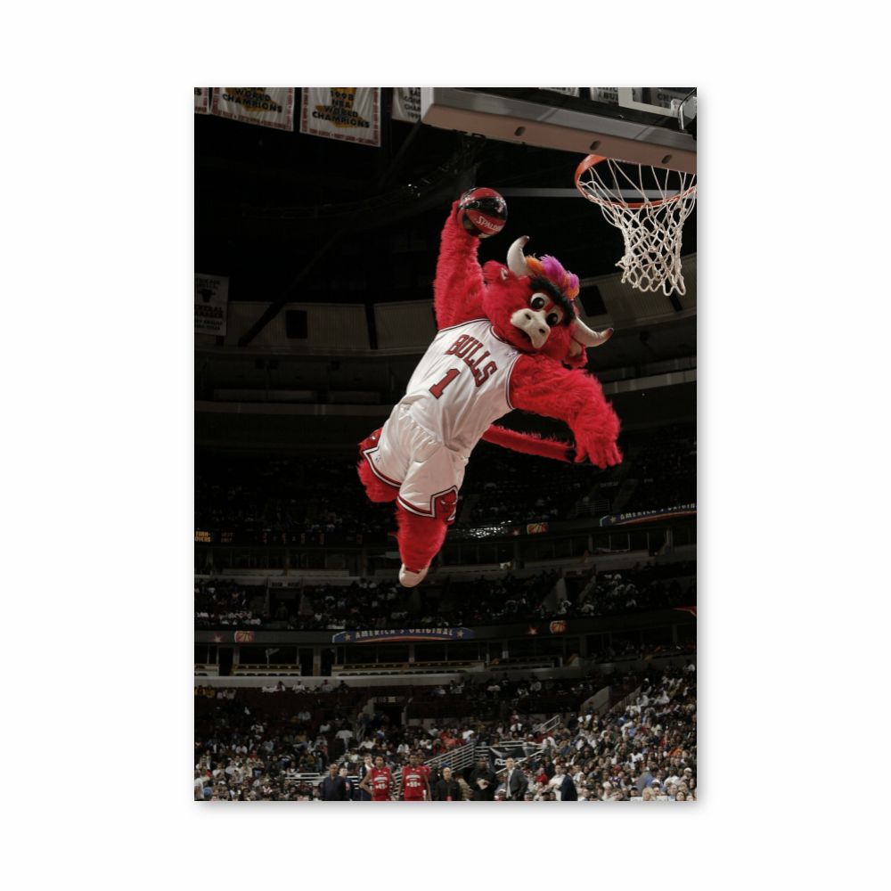 Mascota de los Chicago Bulls Póster