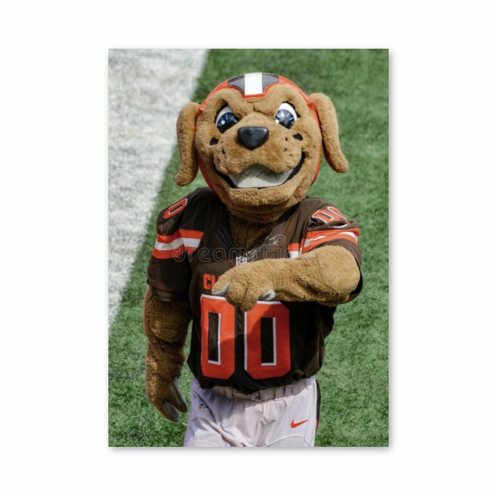 Mascota de los Cleveland Browns Póster