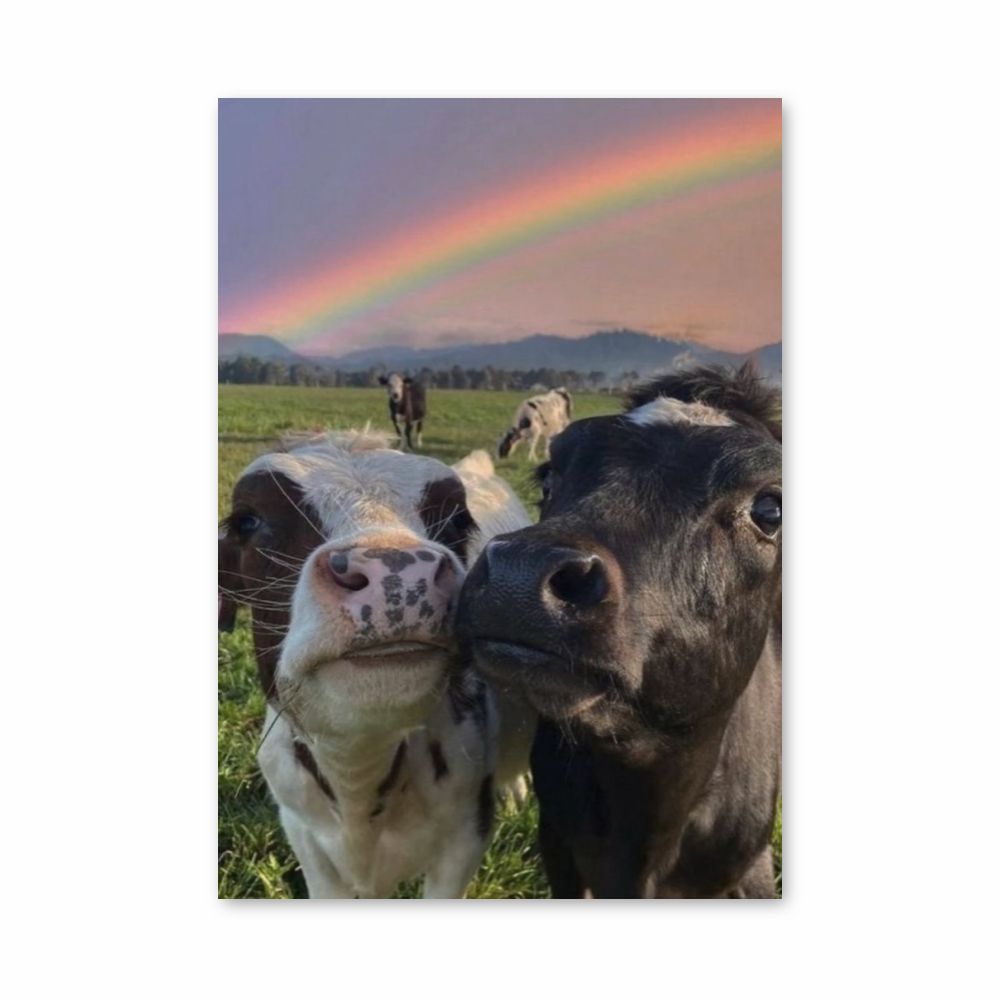 Vaca arcoiris Póster