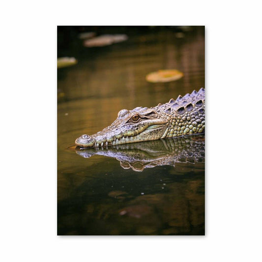 Poster Petit Crocodile