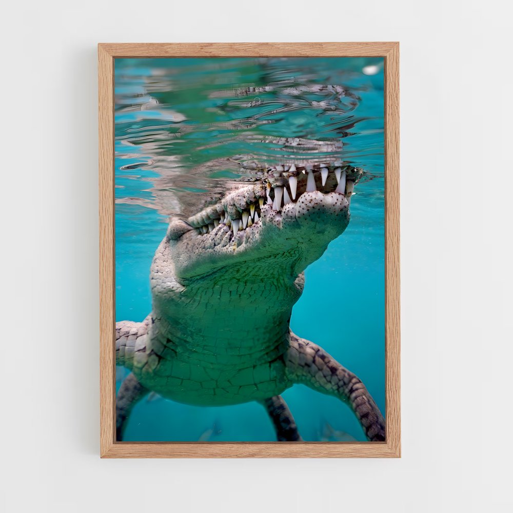 crocodile-8 cadre Bois clair
