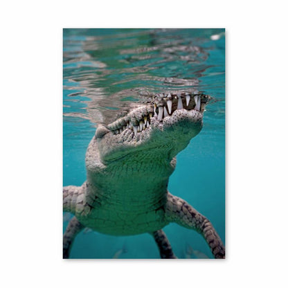 Poster Crocodile Dents