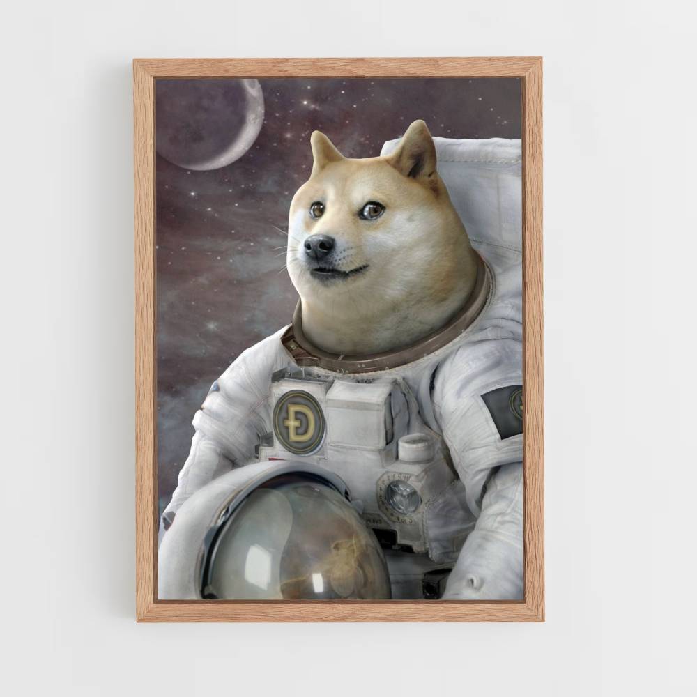 Póster Doge en el espacio