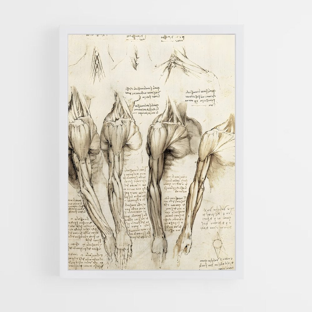 da-vinci-2 cadre Blanc