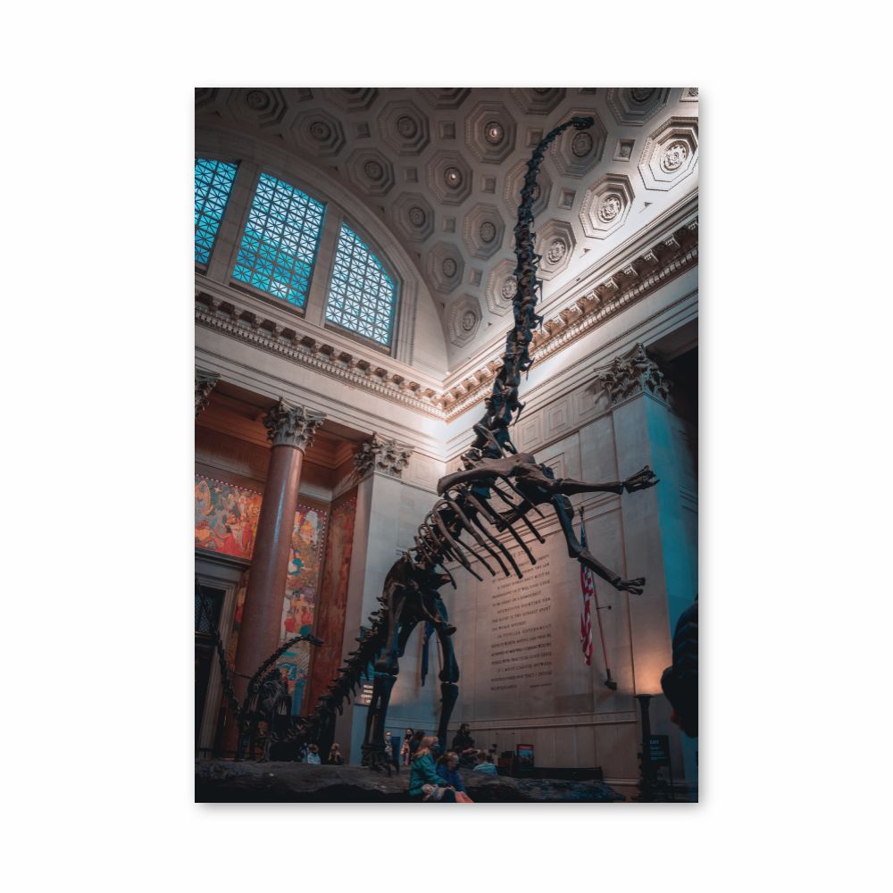 Esqueleto de diplodocus Póster