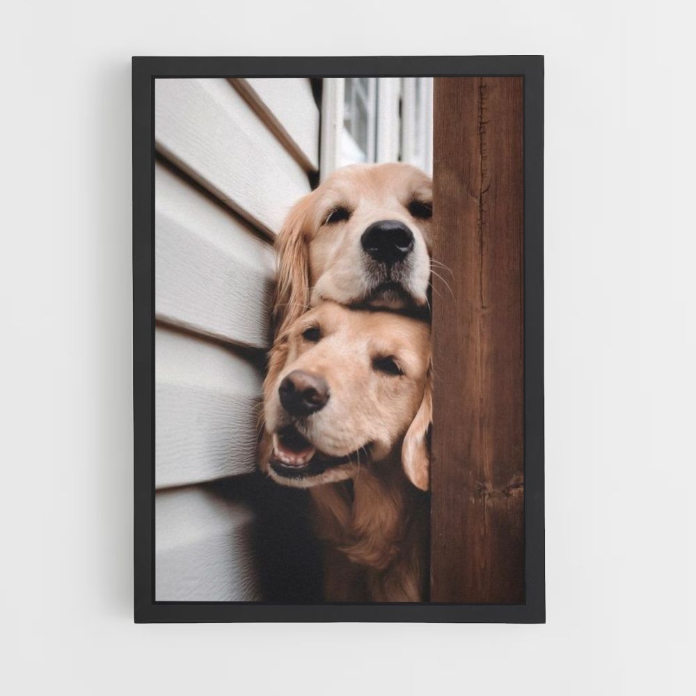 Perros lindos Póster