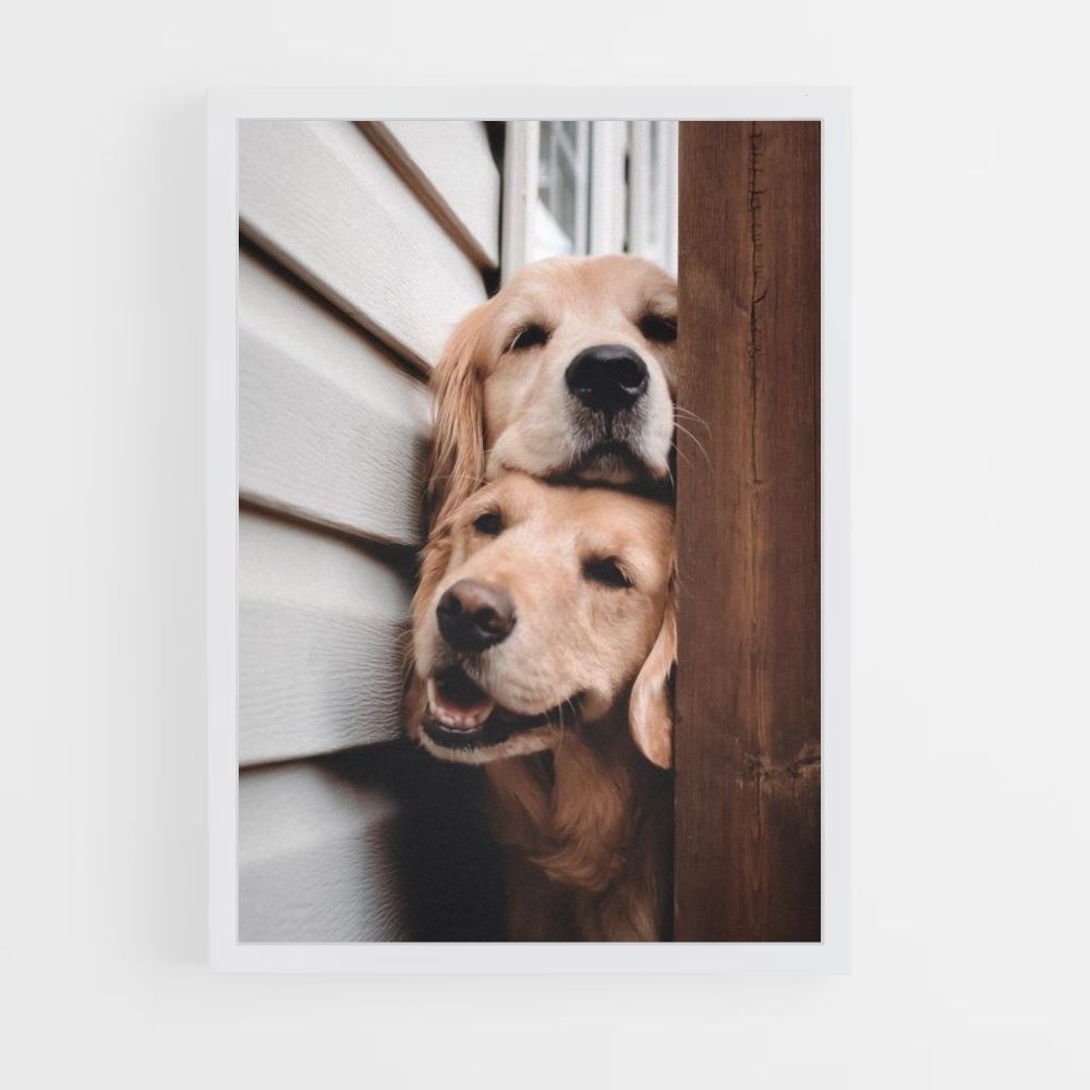 Perros lindos Póster