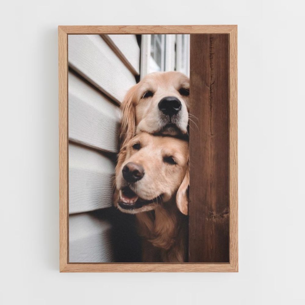 Perros lindos Póster