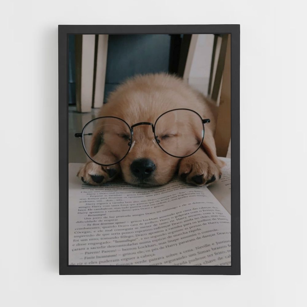 Lectura de perros Póster