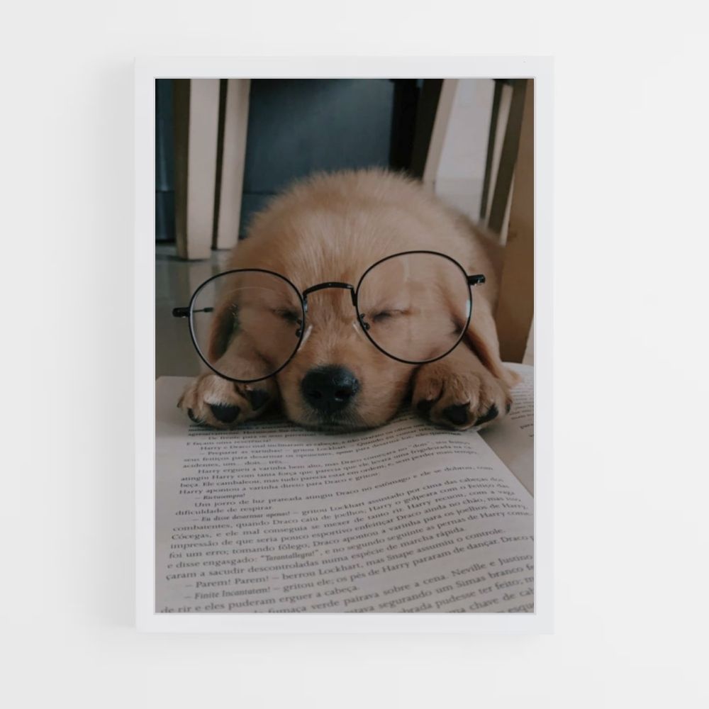 Lectura de perros Póster