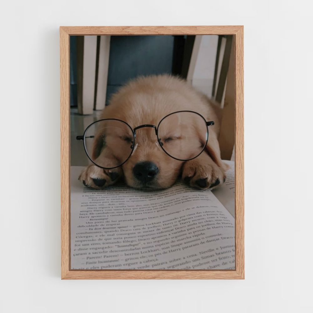 Lectura de perros Póster