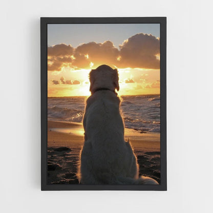 Póster Playa para perros