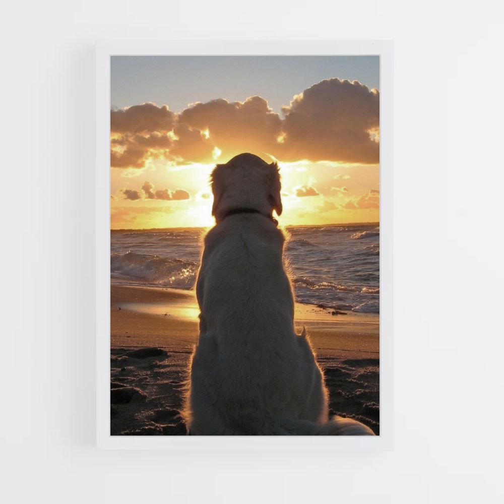 Póster Playa para perros