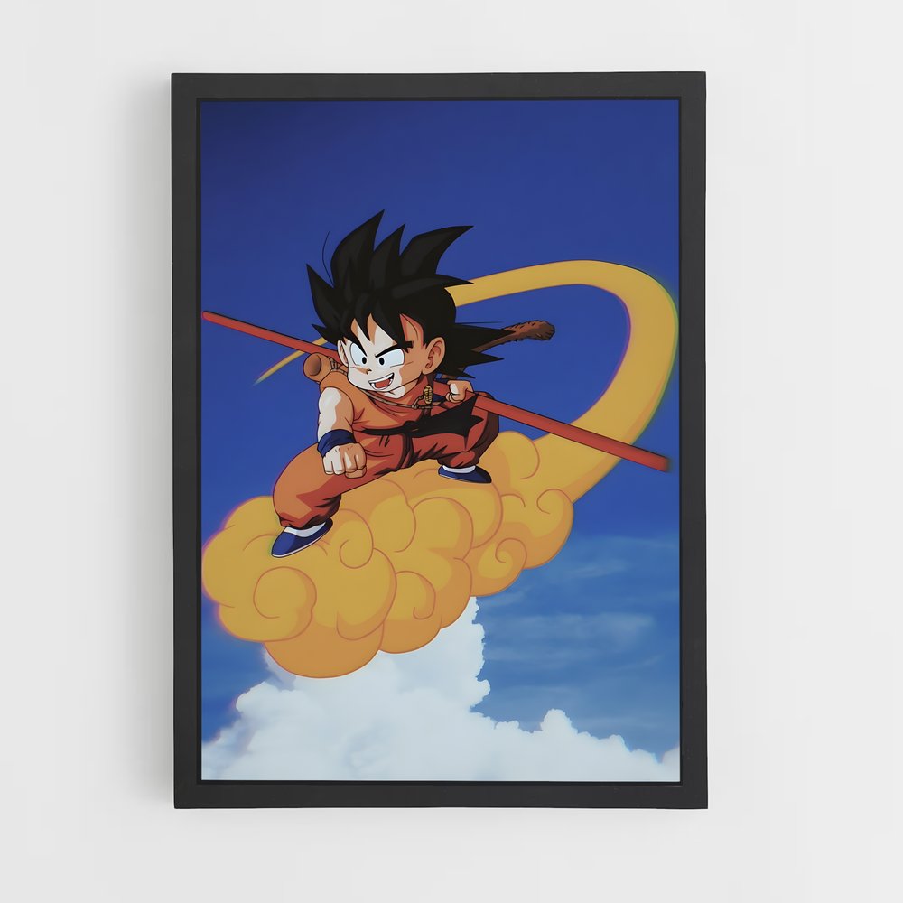 dragon-ball-13 cadre Noir