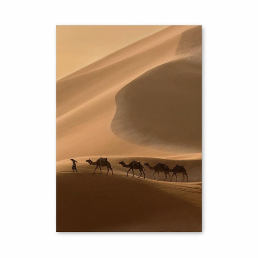 Póster Camellos del desierto