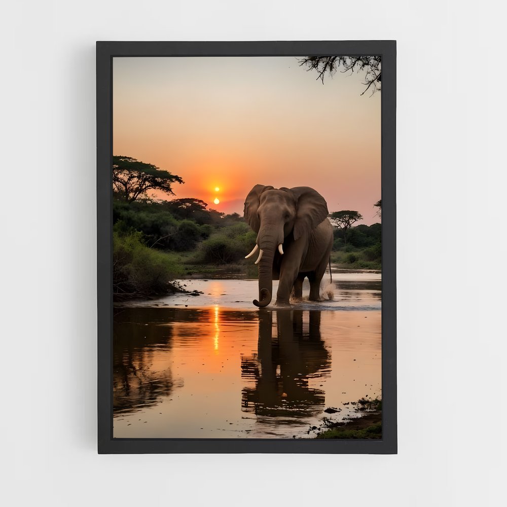 elephant-3 cadre Noir