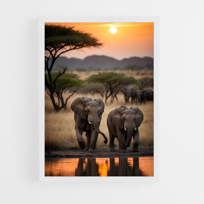 elephant-4 cadre Blanc