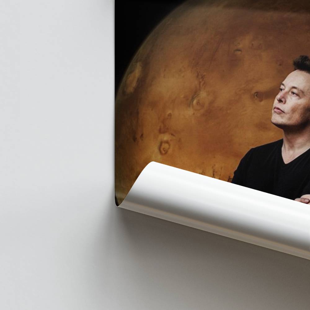 Póster Marcha de Elon Musk