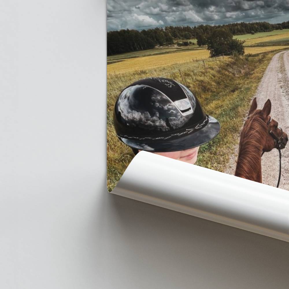 Ruta a caballo Póster
