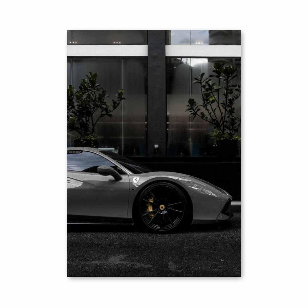 Póster F488