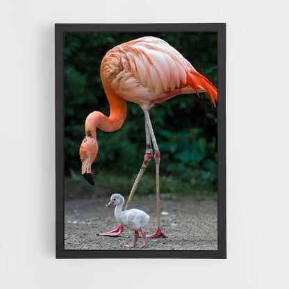 flamingo-1 cadre Noir