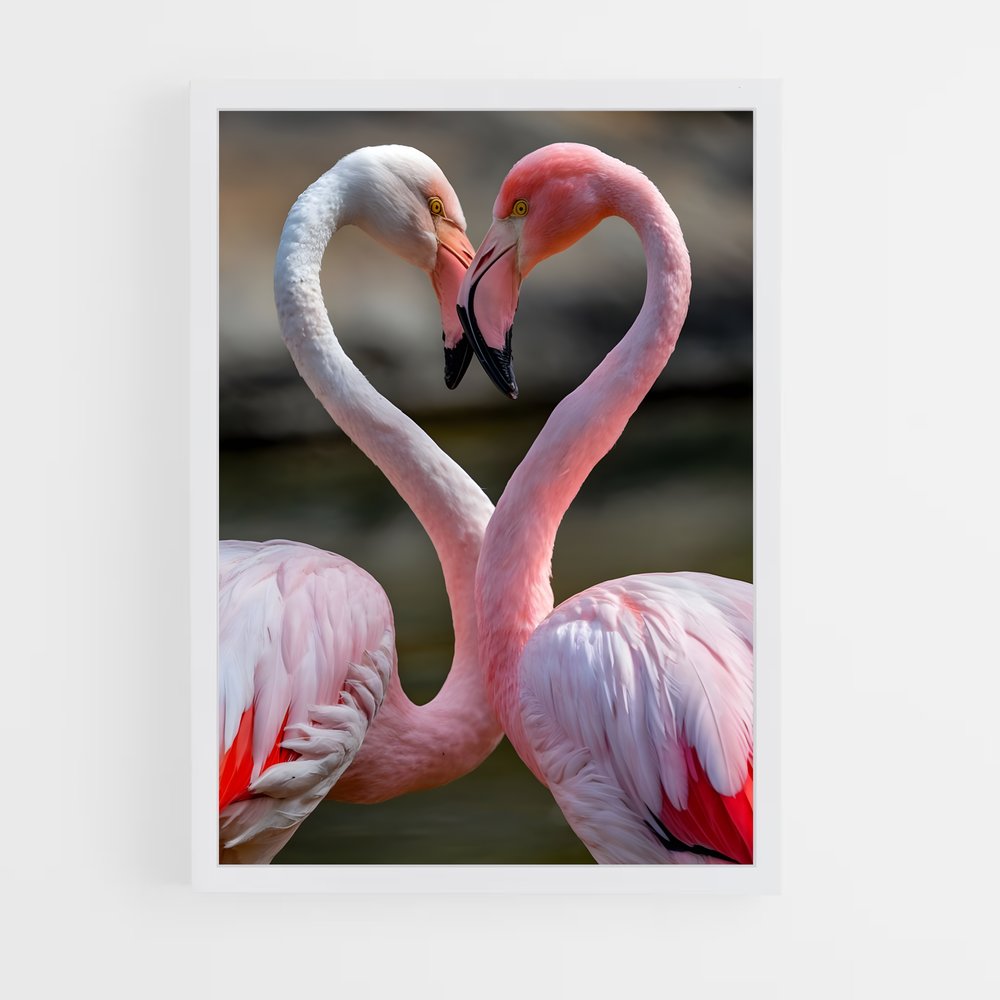 flamingo-4 cadre Blanc