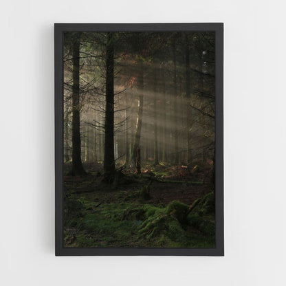 Bosque oscuro Póster