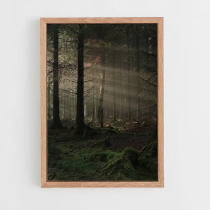 Bosque oscuro Póster