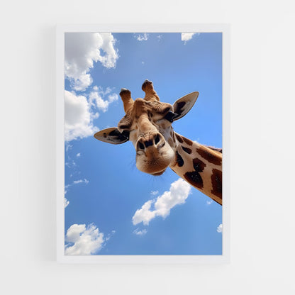 giraffe-5 cadre Blanc