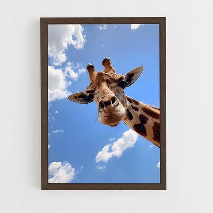 giraffe-5 cadre Bois foncé
