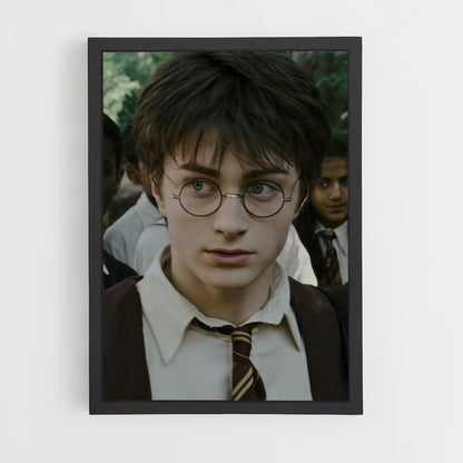 Póster Harry Potter