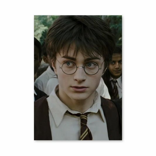 Póster Harry Potter