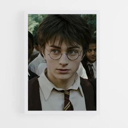 Póster Harry Potter