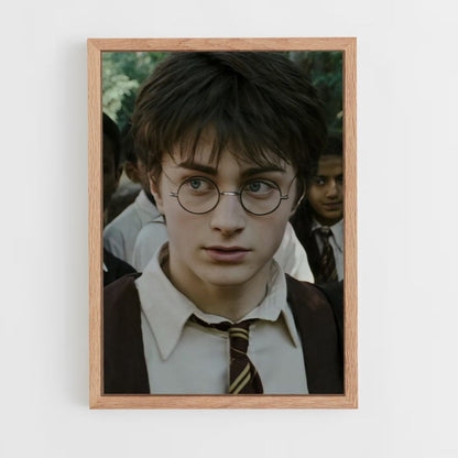 Póster Harry Potter