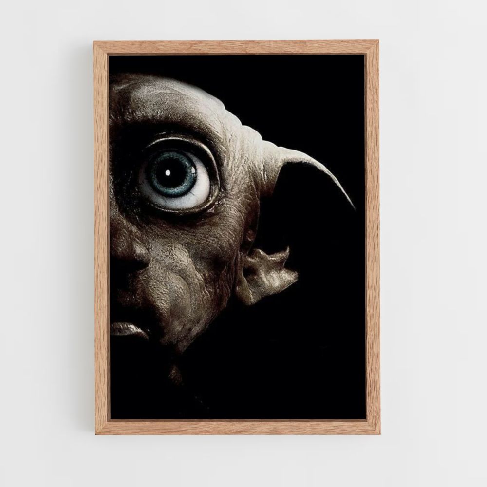 Dobby Póster