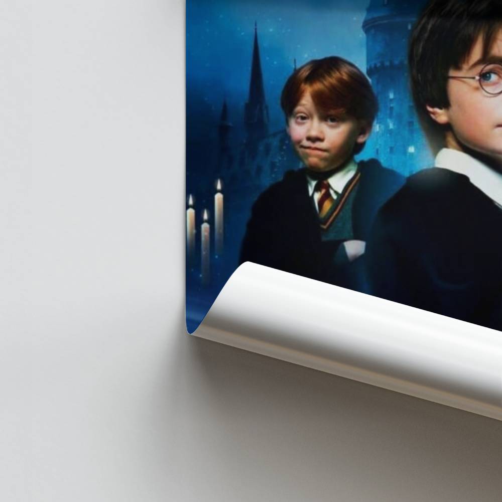 Póster Harry Ron Hermione