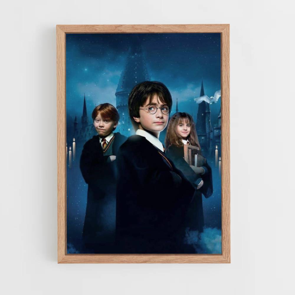 Póster Harry Ron Hermione