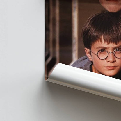 Póster Harry Potter Joven