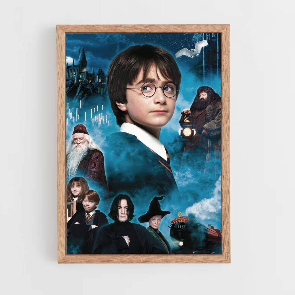 Personajes de Harry Potter Póster