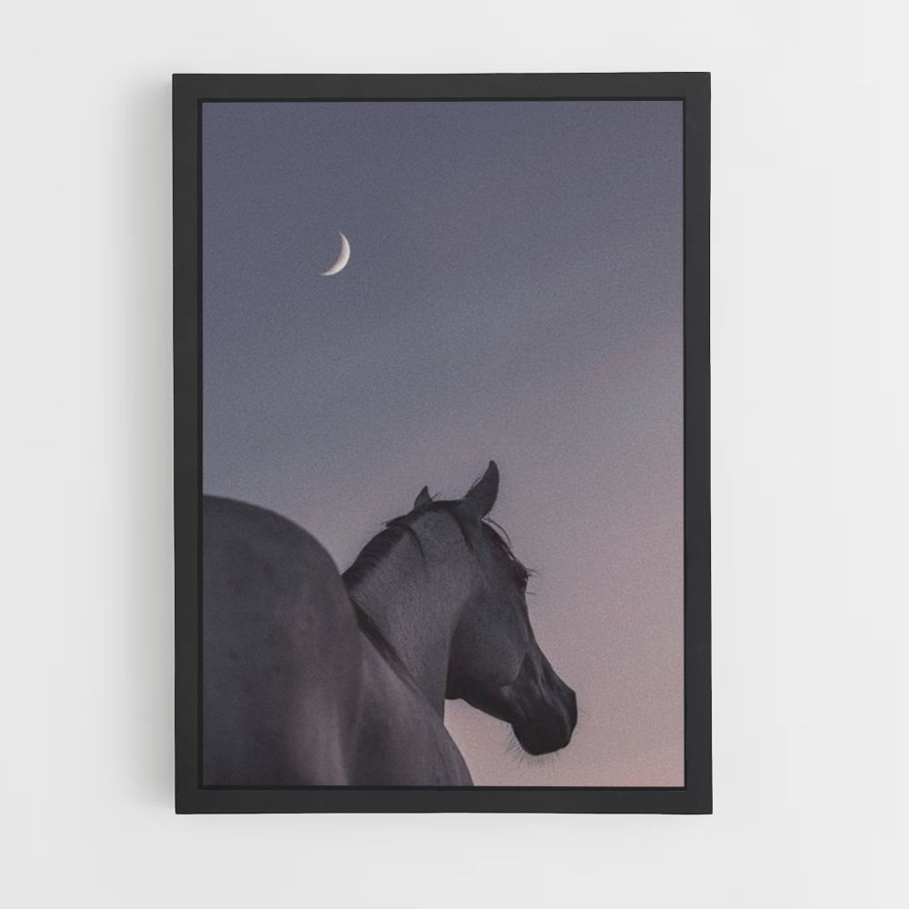 Caballo Luna Póster