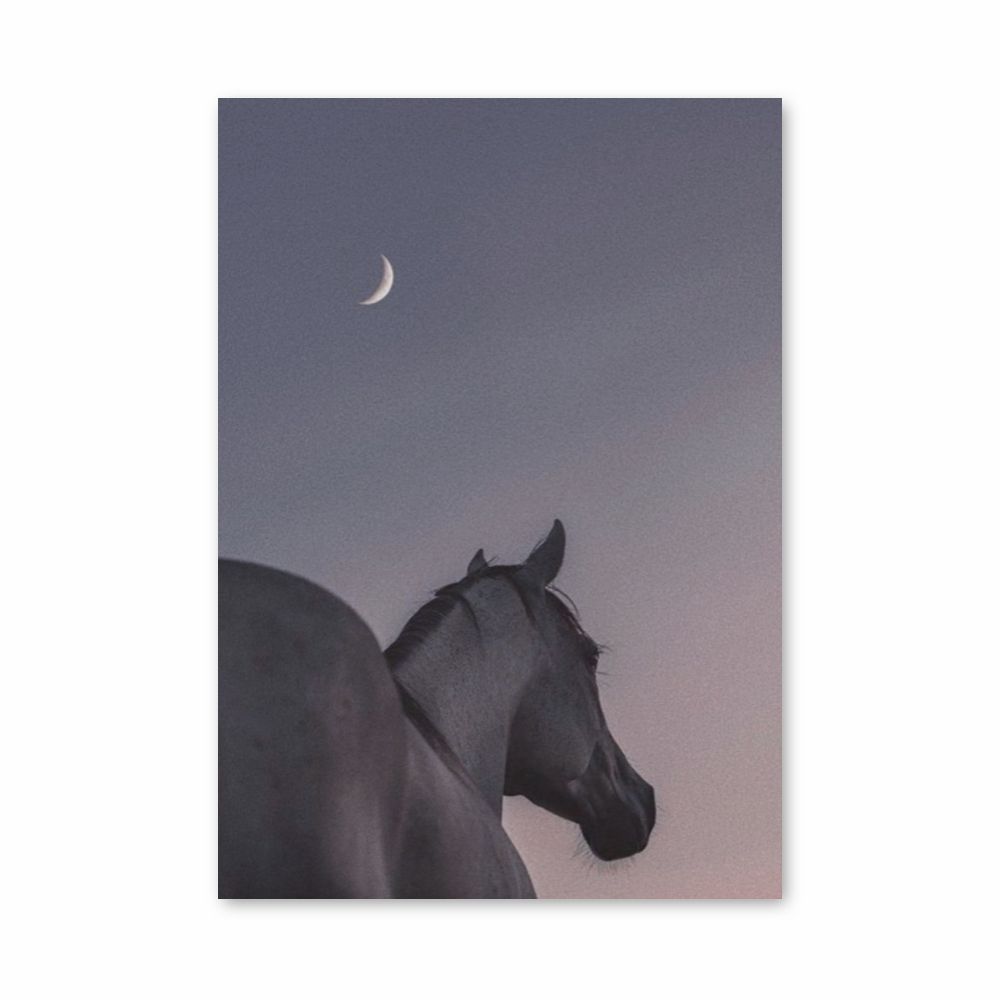 Caballo Luna Póster