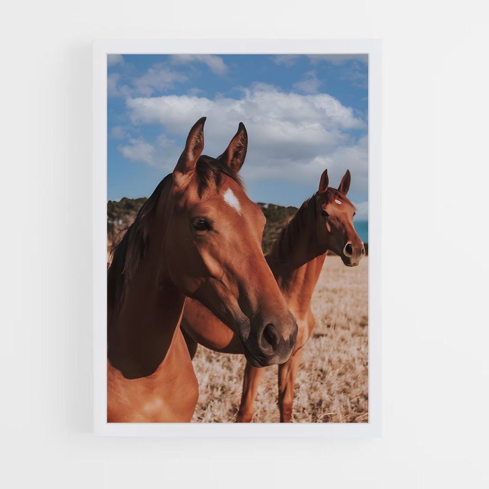 horse-6 cadre Blanc