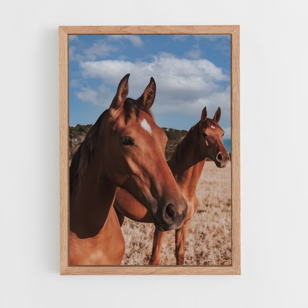 horse-6 cadre Bois clair