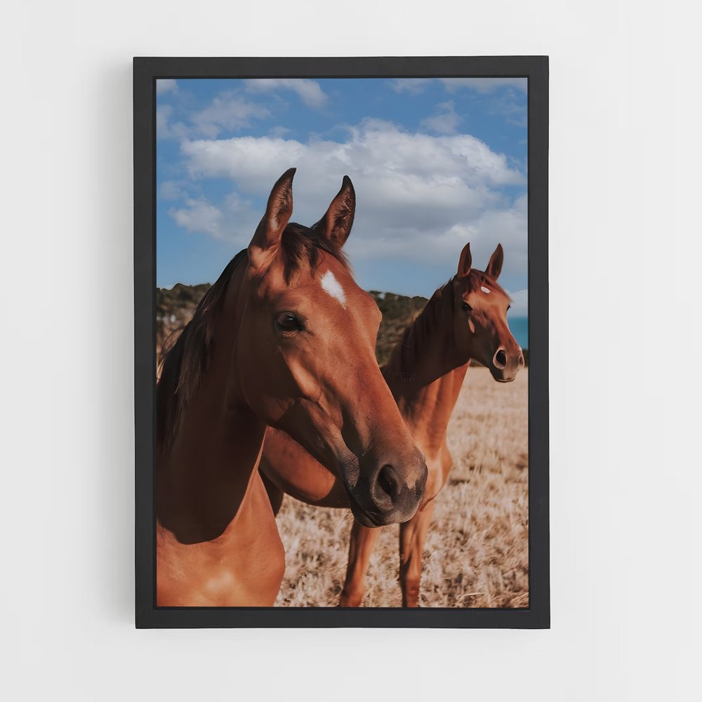 horse-6 cadre Noir