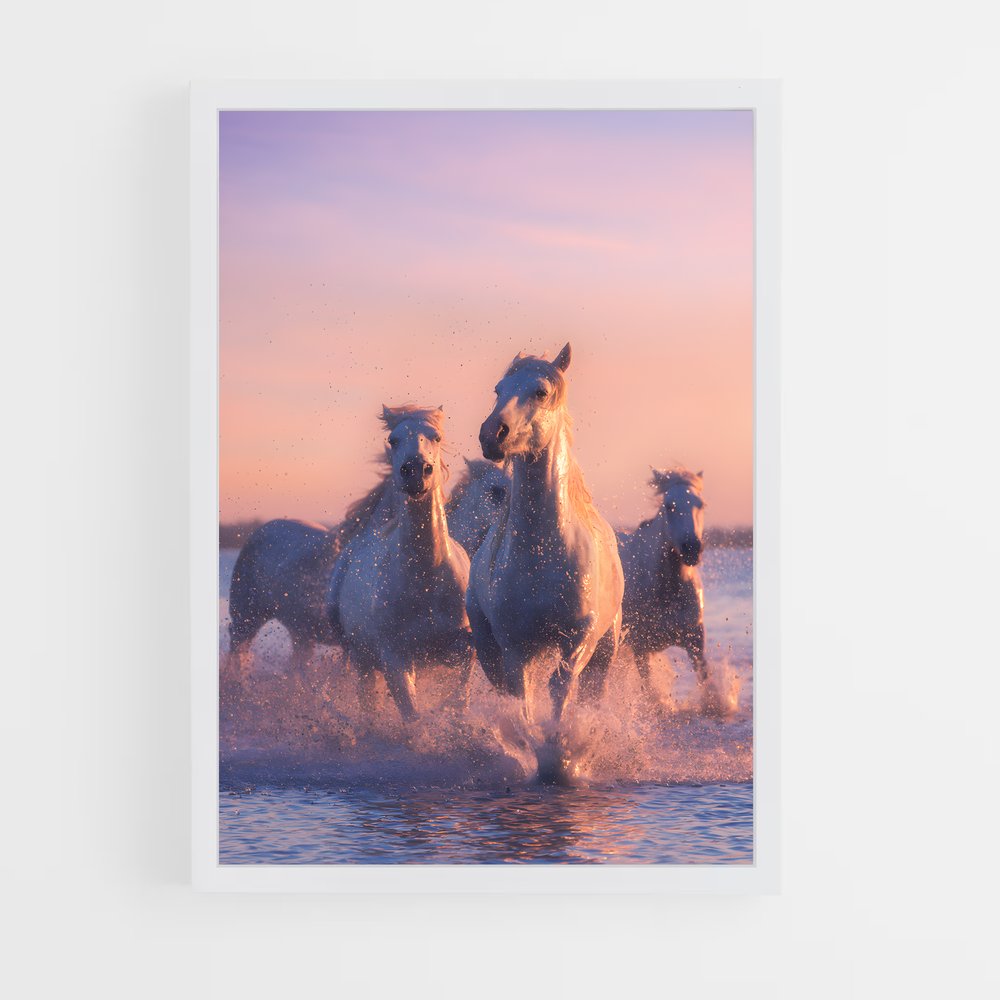 horse-7 cadre Blanc