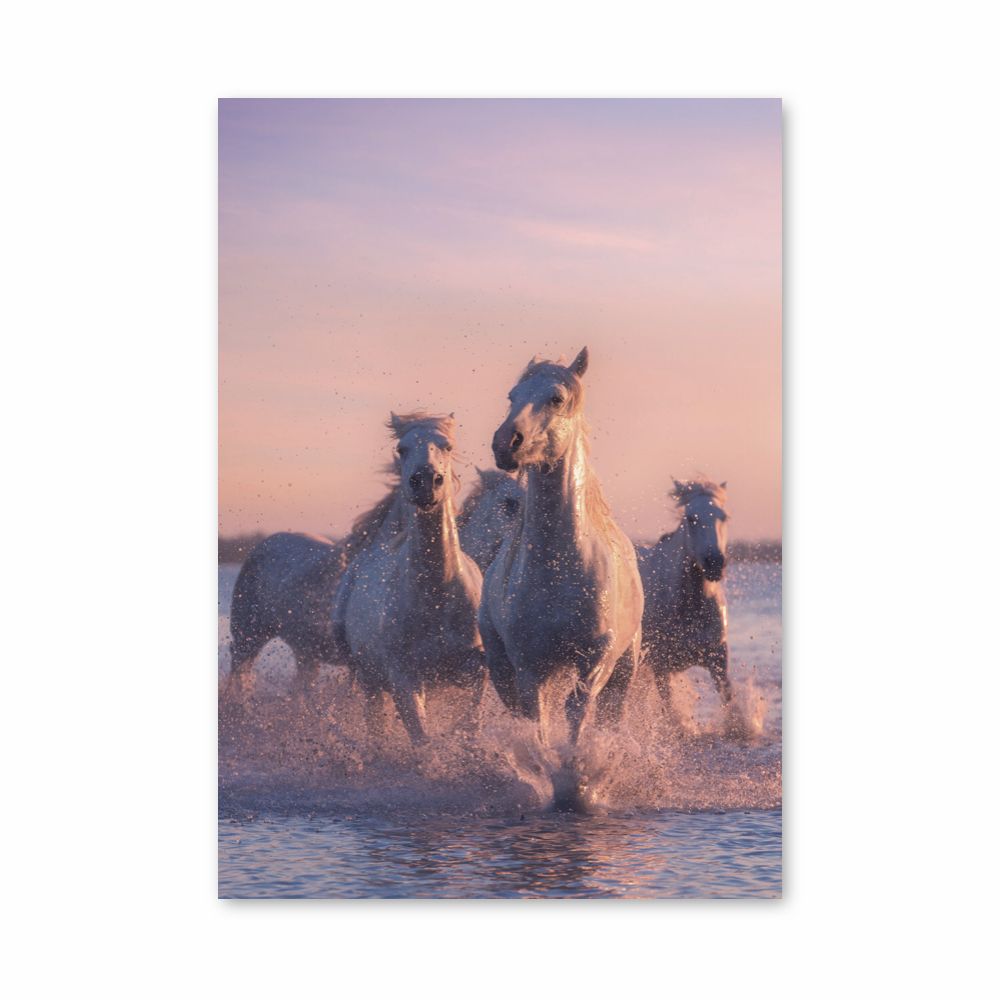 Caballos blancos Póster