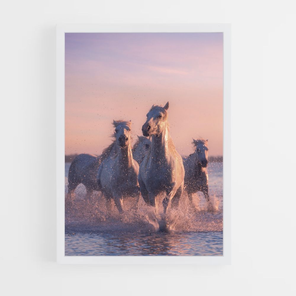 Caballos blancos Póster