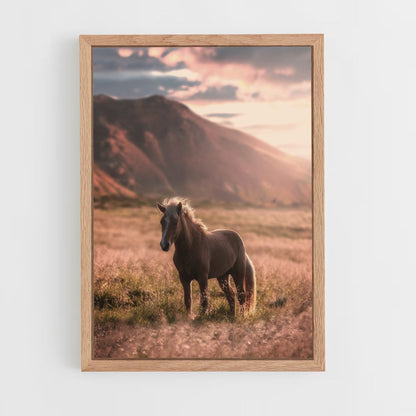 Póster Naturaleza del caballo