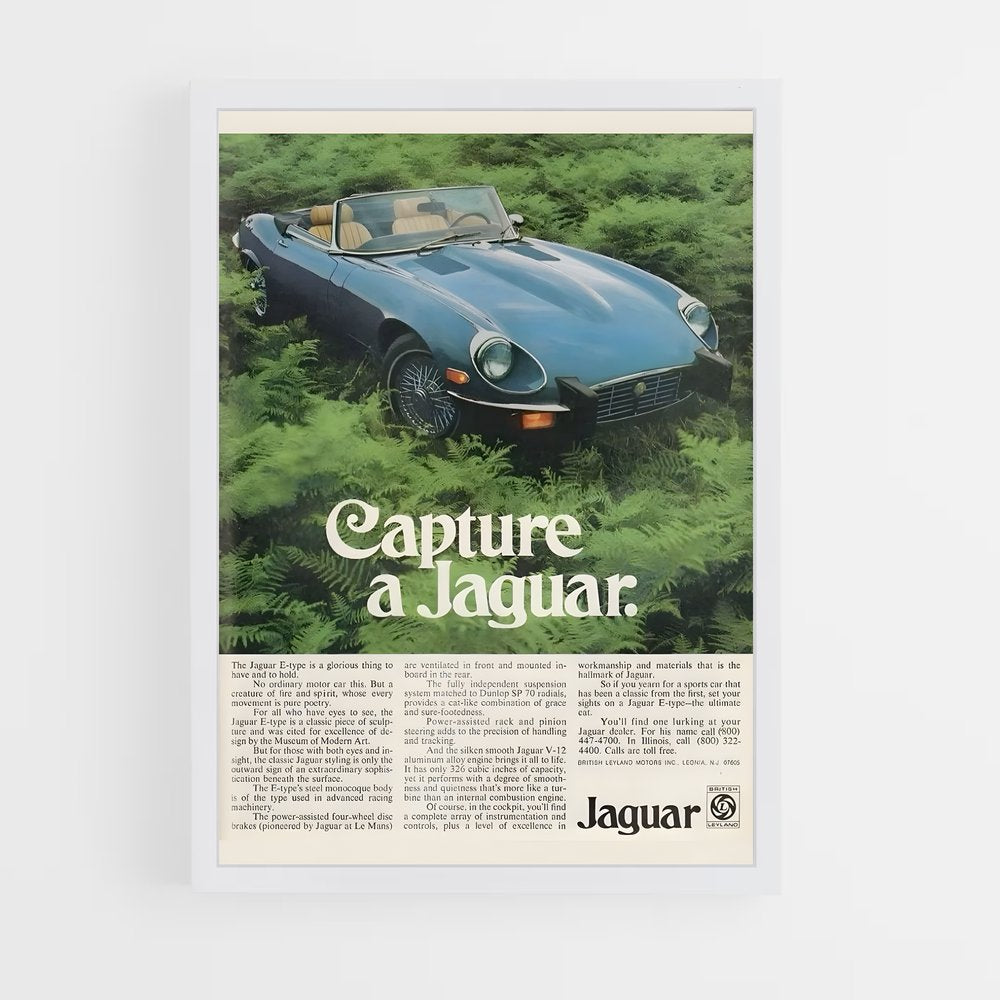 jaguar-3 cadre Blanc
