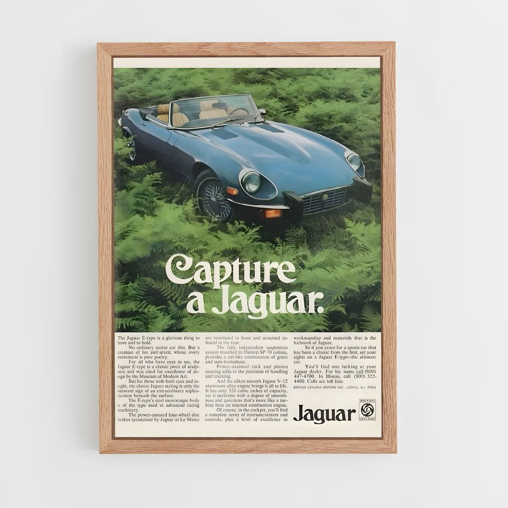 jaguar-3 cadre Bois clair